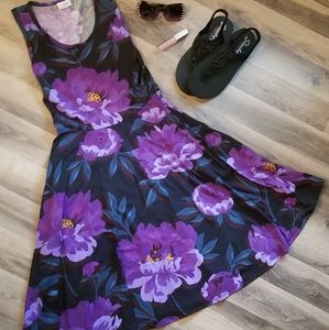 Lularoe Small Nicki Dress